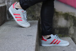 IMG_0481.JPG IMG_0481.JPG