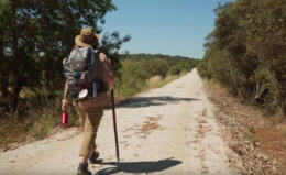 ERT-Alentejo-Ribatejo-768x471.png ERT-Alentejo-Ribatejo-768x471.png