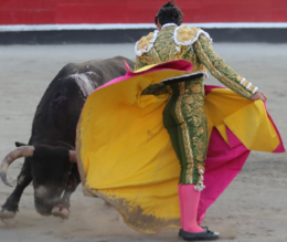 Enrique Colombo-Azpeitia 31.07.2023.png