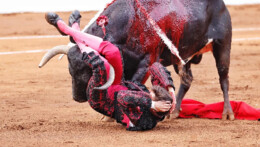 Roca Rey colhido em Santander-Julho de 2023.webp