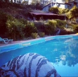 quinta.JPG quinta.JPG