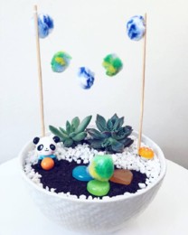 30184458_533431523723726_2014421254_n.jpg 30184458_533431523723726_2014421254_n.jpg