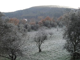 Pauzinho e Lierac 014.JPG