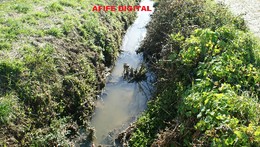 DSC06645.JPG DSC06645.JPG