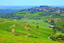 sancerre-Fotolia_173664128_M.jpg