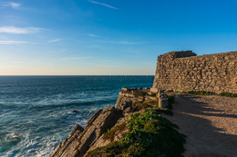 DSC05484-1.jpg DSC05484-1.jpg