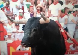 Pamplona-San Fermin 2023.jpg