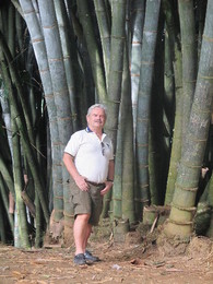 Jardim Botânico, Peradeniya, Sri Lanka, NOV15.JPG