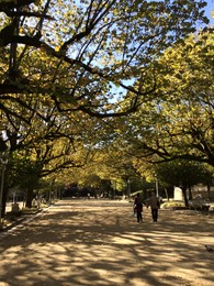 IMG_1766.JPG IMG_1766.JPG