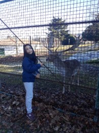 IMG-20210117-WA0000.jpg IMG-20210117-WA0000.jpg