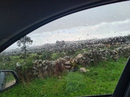 20201229_133402.jpg 20201229_133402.jpg