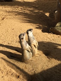 Photo 20-12-15, 12 38 36.jpg Photo 20-12-15, 12 38 36.jpg