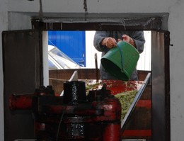 DSC_0038r.JPG DSC_0038r.JPG