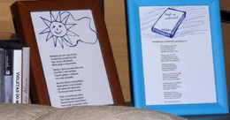 erupção feminina da Serreta