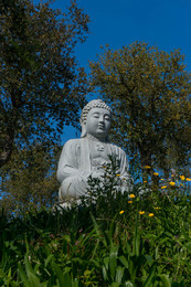 DSC03347.jpg DSC03347.jpg