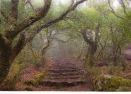 img428.jpg img428.jpg