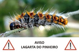 20170208_160127_Portal_Nacional_dos_Municipios_e_F 20170208_160127_Portal_Nacional_dos_Municipios_e_F