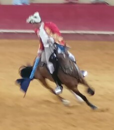 Toureio a cavalo.jpeg