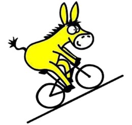 burro-en-bici.jpg
