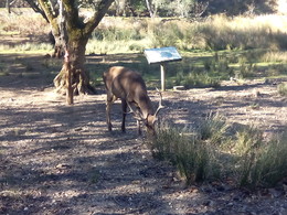 IMG_20151128_112854 (1).jpg IMG_20151128_112854 (1).jpg