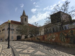 IMG_1123.JPG IMG_1123.JPG