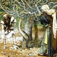 3º Domingo da Quaresma - C - 20 de março.jpg