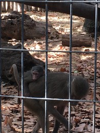 Photo 20-12-15, 11 57 21.jpg Photo 20-12-15, 11 57 21.jpg