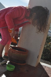 DSC_7557.JPG DSC_7557.JPG