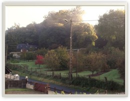 O outono.JPG O outono.JPG