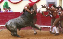 Grupo de Évora  20121.jpg