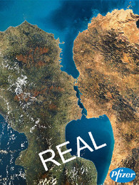 12 Kissing islands Pfizer REAL.jpg