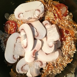 IMG_3507.JPG IMG_3507.JPG