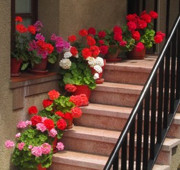 decorar-escada-com-flores.jpg