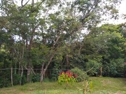 1586017914495 (1) - Copia.jpg