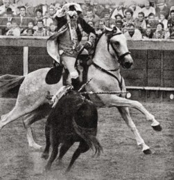 João Branco Núncio.jpg