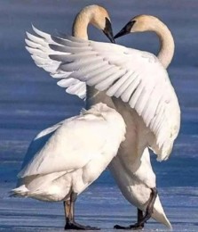 FB_IMG_1576398934440.jpg FB_IMG_1576398934440.jpg