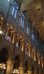 1450063_10204244374088631_1509744554881782205_n.jp