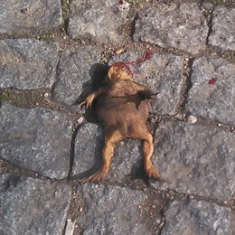 IMG_20170205_111754.jpg IMG_20170205_111754.jpg