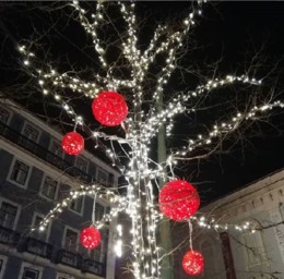 camões.JPG camões.JPG