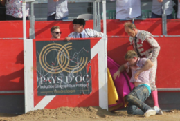 Animalista salvo em Carcassone.png