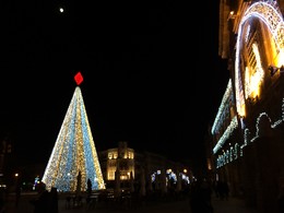 IMG_2850.JPG IMG_2850.JPG