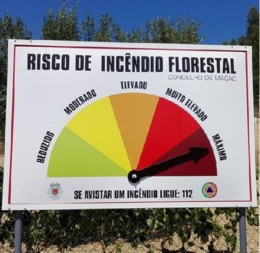 cardigos.JPG cardigos.JPG