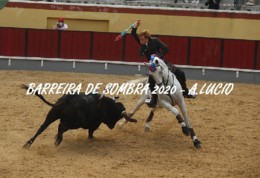 tristao r telles.JPG