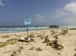 IMG_20141105_105416.jpg IMG_20141105_105416.jpg