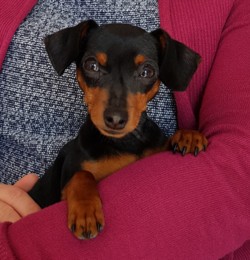 WhatsApp Image 2018-05-16 at 23.06.29.jpeg WhatsApp Image 2018-05-16 at 23.06.29.jpeg