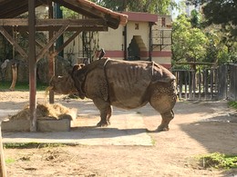 Photo 20-12-15, 12 36 36 (1).jpg Photo 20-12-15, 12 36 36 (1).jpg