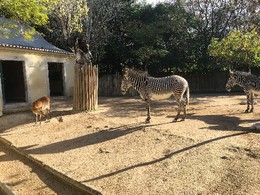 Photo 20-12-15, 11 25 25.jpg Photo 20-12-15, 11 25 25.jpg