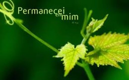 5º Domingo da Páscoa - 29 de abril.jpg