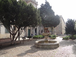 DSC00874.JPG DSC00874.JPG