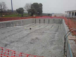 image001.png image001.png